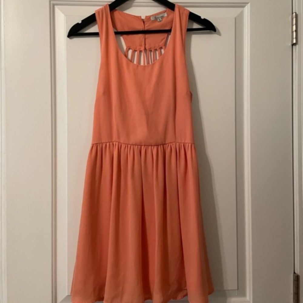 The Clothing Company Dress